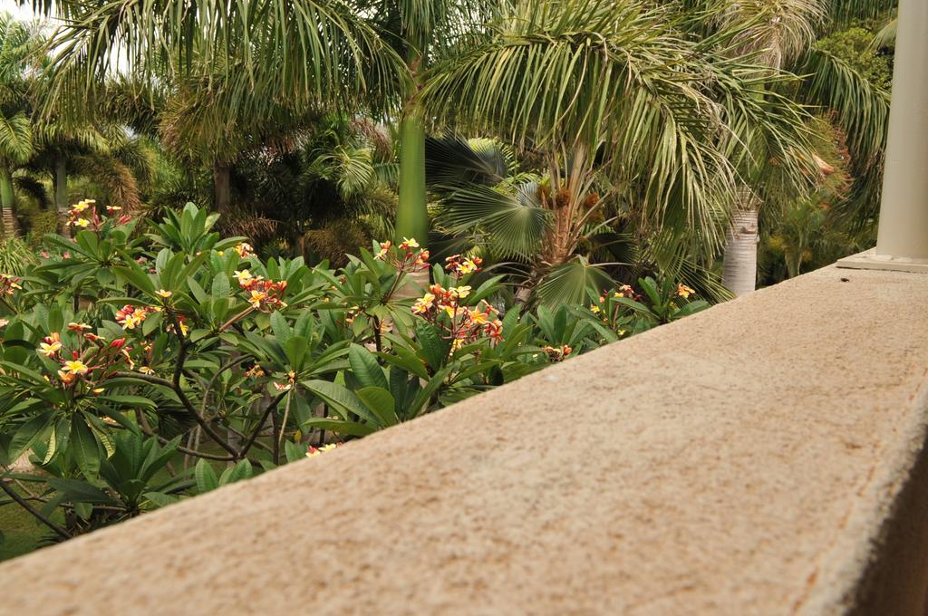 Aloha Aku Inn & Suites Kihei Δωμάτιο φωτογραφία